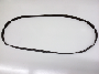 Serpentine Belt